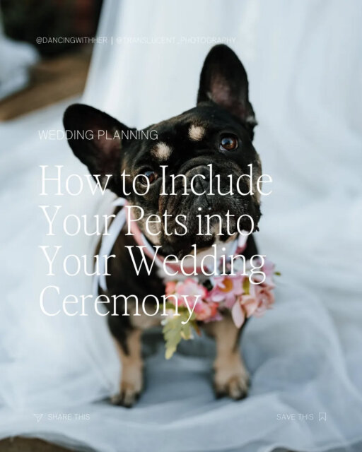 If you’ve ever wondered whether your dog could (or should) be part of your wedding day ... the answer is: absolutely.⁠
⁠
But, like most good things, a little planning makes all the difference.⁠
⁠
We teamed up with @translucent_photography (who’ve seen a lot of four-legged guests over the years) to share their best advice for including your pets without the chaos. Think: assigning a 'dog handler,' bringing a familiar blanket for comfort, and timing portraits before the dance floor madness begins.⁠
⁠
Because yes, dogs make everything cuter - but also, sometimes they eat the floral arrangements 🫢⁠
⁠
Swipe through for proof that pets at weddings are always worth it (and to see some delighful cuddly family members).⁠
⁠
You’ll find @translucent_photography - who captured every adorable moment - inside our directory of inclusive wedding pros. They mostly work with couples across New South Wales and the ACT ❤️