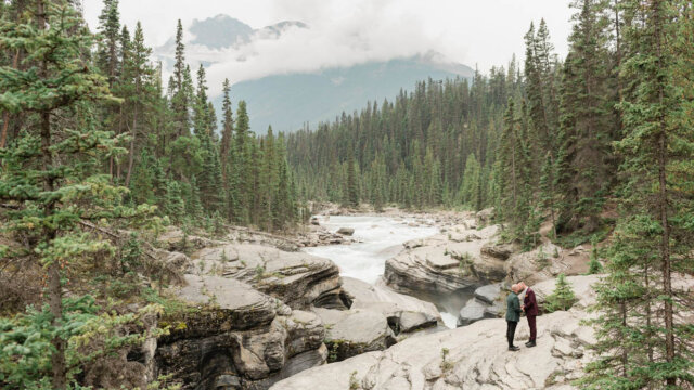 The Organic Moment Photography & Videography 14