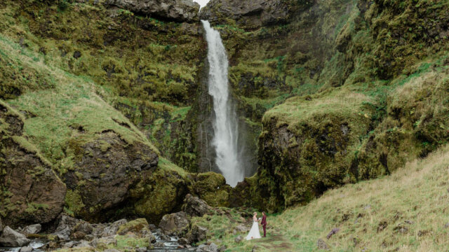 The Organic Moment Photography & Videography 2