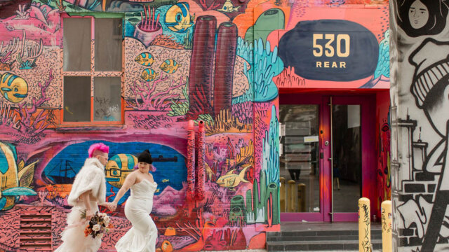 The Organic Moment Photography & Videography